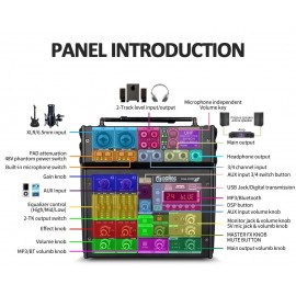 микшерный пульт с двумя радиомикрофонами DGNOG R4PRO S