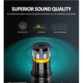 микшерный пульт с двумя радиомикрофонами DGNOG R4PRO S